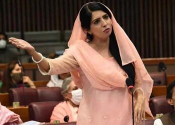 عالیہ حمزہ و دیگر کی ضمانت منسوخی سے متعلق درخواست، پنجاب حکومت نے وقت مانگ لیا