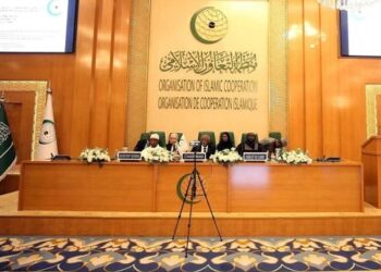 اسلامی تعاون تنظیم نے عرب منصوبے کے تحت غزہ کی تعمیر نو کی حمایت کر دی