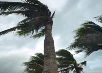 کراچی میں وقفے وقفے سے تیز ہوائیں چلنے کا امکان