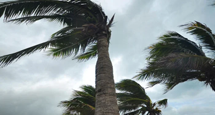 کراچی میں وقفے وقفے سے تیز ہوائیں چلنے کا امکان