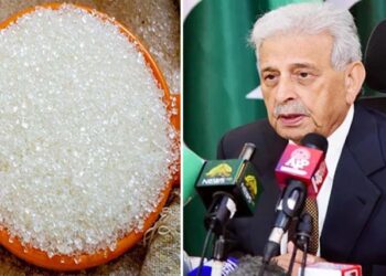 چینی کی قیمتوں میں اضافے کی خبریں بے بنیاد ہیں: وفاقی وزیر برائے غذائی تحفظ