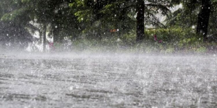 پی ڈی ایم اے پنجاب نےرمضان المبارک میں مزید بارشوں کا الرٹ جاری کردیا