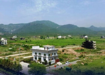 اسلام آباد میں شجرکاری مہم تیز، پولن الرجی کے باعث پیپرملبری درختوں کی کٹائی کا فیصلہ