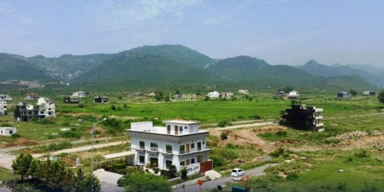 اسلام آباد میں شجرکاری مہم تیز، پولن الرجی کے باعث پیپرملبری درختوں کی کٹائی کا فیصلہ