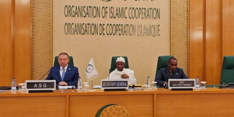 اسلامی تعاون تنظیم کا عرب منصوبے کے تحت غزہ کی تعمیر نو کی حمایت کا اعلان