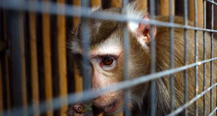 بیرون ملک سے جعلی دستاویزات پر کراچی لائے گئے بندر کسٹم حکام کیلئے درد سر بن گئے