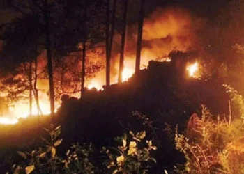 بلوچستان: کوہلو کے جنگلات میں آگ لگ گئی، وسیع رقبہ لپیٹ میں آ گیا