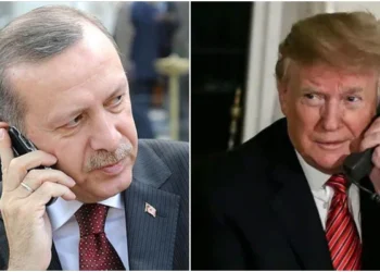 ترک صدر کا ٹرمپ سے ٹیلیفونک رابطہ، روس یوکرین جنگ خاتمے کیلئے امریکی اقدامات کی حمایت