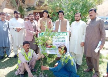 وزیر اعلیٰ پنجاب مریم نواز شریف کے ویژن کے مطابق پلانٹ فار پاکستان مہم کے تحت ضلع میں پودے لگائے گئے۔