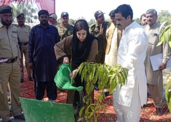 عالمی یوم جنگلات کے موقع پر ضلع  لیہ میں بھی شجر کاری مہم کا آغاز کر دیا گیا۔