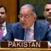 سلامتی کونسل کو غزہ میں اسرائیلی جارحیت کیخلاف فیصلہ کن اقدام کرنا ہوگا، پاکستان کا دوٹوک مطالبہ