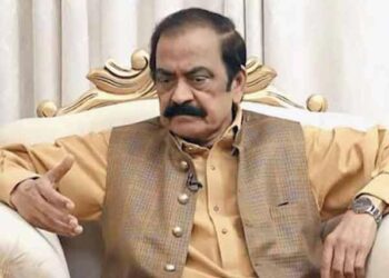 پوری دنیا کہہ رہی پاکستان معاشی بحران سے نکل رہا ہے: رانا ثنا اللہ