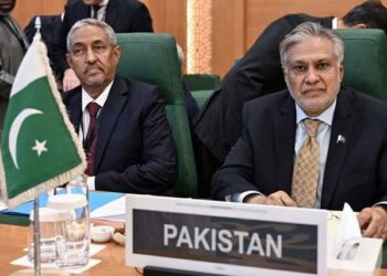 پاکستان فلسطین کیساتھ، عرب لیگ کے فیصلے کی حمایت کرتے ہیں: اسحاق ڈار