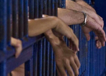 عید الفطر پر پنجاب میں قیدیوں کی 3 ماہ کی سزا معاف کرنے کا اعلان