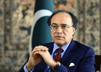 وفاقی وزیر خزانہ کی چینی سرمایہ کاروں کو زراعت سمیت دیگر شعبوں میں سرمایہ کاری کی دعوت