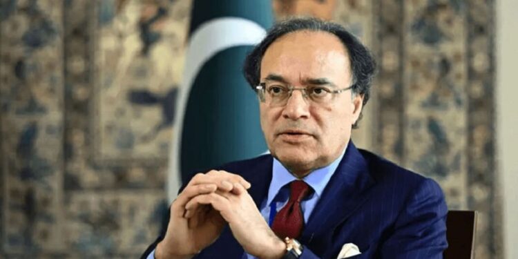 وفاقی وزیر خزانہ کی چینی سرمایہ کاروں کو زراعت سمیت دیگر شعبوں میں سرمایہ کاری کی دعوت