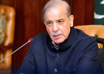 وزیراعظم شہبازشریف کی کلمت میں مسافروں پر فائرنگ کی شدید مذمت