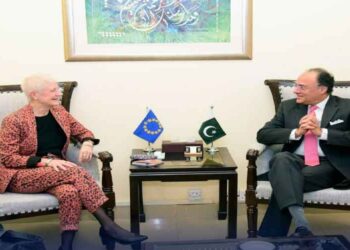 وزیرخزانہ سسے سفیر یورپی یونین کی ملاقات، جی ایس پی پلس اسٹیٹس پر بات چیت