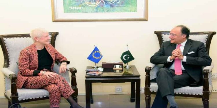 وزیرخزانہ سسے سفیر یورپی یونین کی ملاقات، جی ایس پی پلس اسٹیٹس پر بات چیت