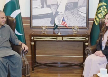 محسن نقوی سے قائم مقام امریکی سفیر کی ملاقات، دہشتگردانہ حملوں کی مذمت