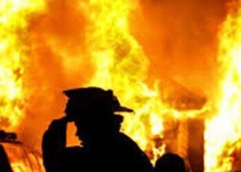 جنوبی کوریا میں تاریخ کی سب سے بڑی جنگل کی آگ، 26 ہلاک