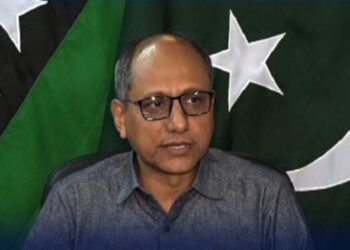 جہاں کنوینر بے بس ہو، پارٹی کسی اور کے نرغے میں ہو، وہ ہمیں کیا بھاؤ بتائیں گے، سعید غنی