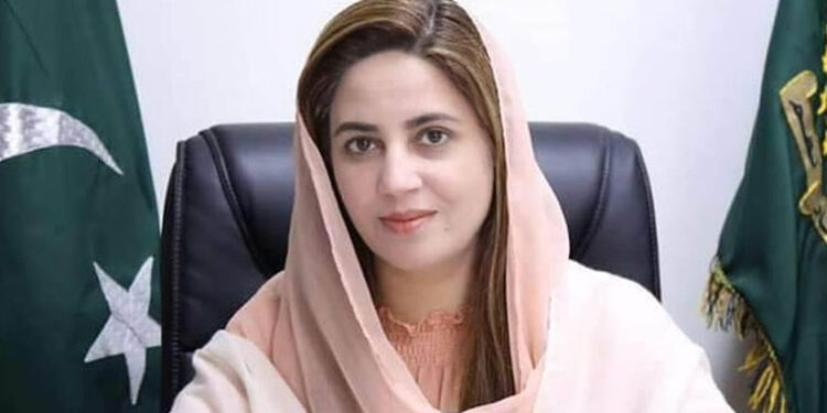 غائب کرنے سے مسائل حل نہیں ہونگے، سوال پوچھنے والوں کو اٹھانا بند کریں: زرتاج گل