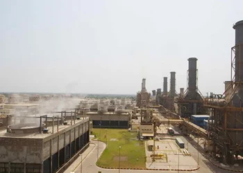 سرکاری پاور پلانٹس میں رقم کی ادائیگی ڈالر کے بجائے پاکستانی روپے میں ہو جائیگی: سی پی پی اے