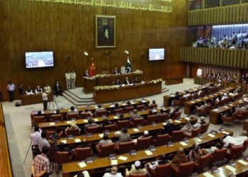 سینیٹ: بھارتی جارحیت کیخلاف قرارداد متفقہ طور پر منظور