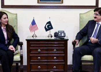 امریکی ناظم الامور کا دورہ کراچی، وزیراعلیٰ سندھ اور کاروباری شخصیات سے ملاقاتیں