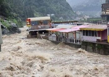 پی ڈی ایم اے نے خیبرپختونخوا میں بارشوں سے نقصان کی تفصیل جاری کر دی