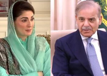 ن لیگ کا منشور ہے کسان کو اسکی محنت کا پورا معاوضہ ملے: شہباز شریف