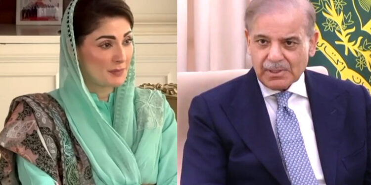 ن لیگ کا منشور ہے کسان کو اسکی محنت کا پورا معاوضہ ملے: شہباز شریف