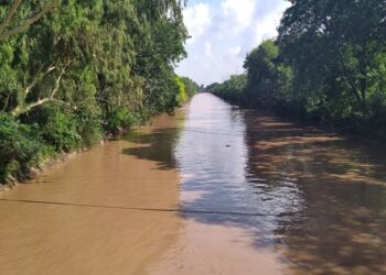 جھنگ میں زمیندار کے تشدد سے 10 سالہ ملازمہ جاں بحق، لاش نہر میں پھینک دی