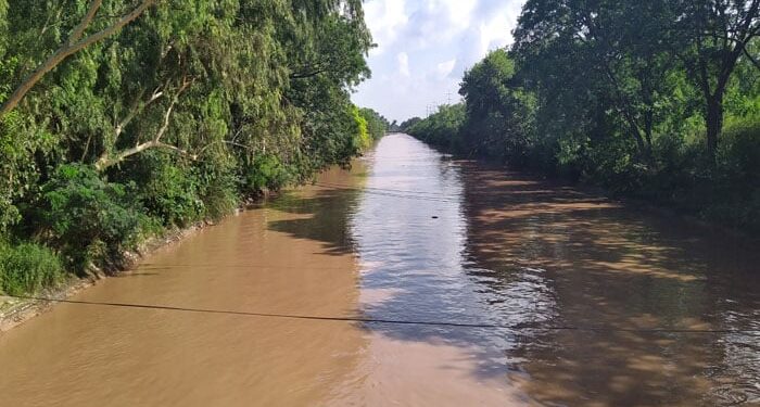 جھنگ میں زمیندار کے تشدد سے 10 سالہ ملازمہ جاں بحق، لاش نہر میں پھینک دی