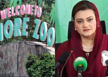 مریم اورنگزیب نے چڑیا گھر کے ٹکٹ کی قیمت سے متعلق وضاحت دیدی