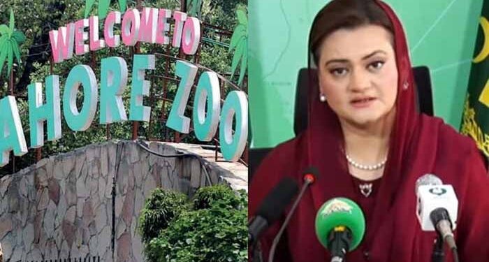 مریم اورنگزیب نے چڑیا گھر کے ٹکٹ کی قیمت سے متعلق وضاحت دیدی