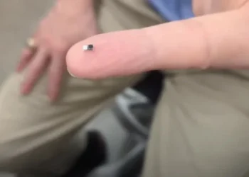 سائنسدانوں نے دنیا کا سب سے چھوٹا پیس میکر تیار کرلیا