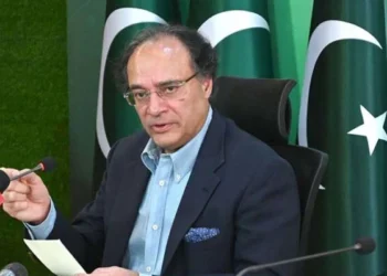 اگلے کچھ ماہ میں وزیراعظم مزید ریلیف کا اعلان کریں گے: وزیر خزانہ