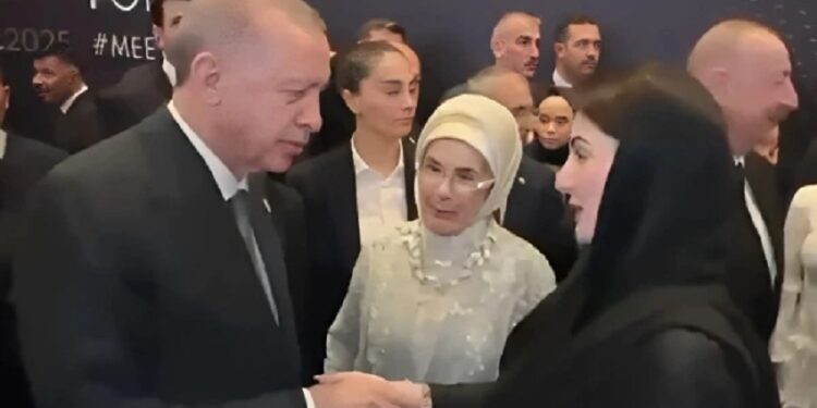 وزیراعلیٰ پنجاب مریم نواز کی ترک صدر اور خاتون اول سے ملاقات