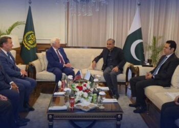 پاکستان دہشتگردی اور دنیا کے درمیان دیوار کی حیثیت رکھتا ہے،وزیر داخلہ