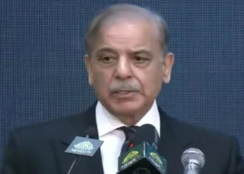 وزیراعظم نے بجلی کی قیمت میں بڑی کمی کا اعلان کر دیا