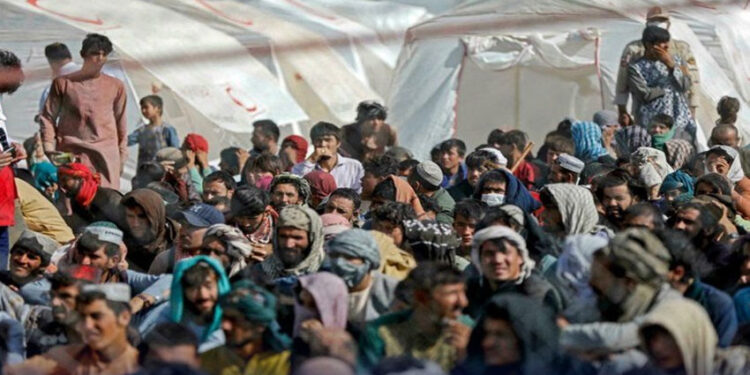 غیرملکیوں کی ملک بدری کا دوسرا مرحلہ، سیکڑوں افغان شہریوں کو واپس بھیجا گیا