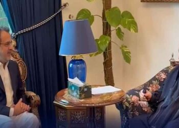 ن لیگ نے عوام کے ریلیف اور ملک کی خدمت کو ہمیشہ مقدم رکھا، نواز شریف