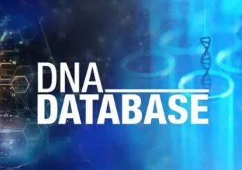 پنجاب میں ڈی این اے مرکزی ڈیٹا بیس کے قیام کا فیصلہ