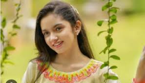 عینا آصف بھی ’ڈیپ فیک‘ ویڈیو کا شکار