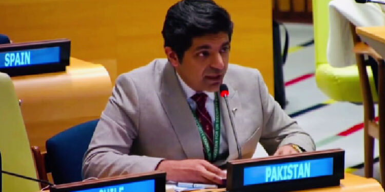 علاقائی حریف کی سرپرستی میں دہشت گردی کا سامنا ہے: پاکستانی قونصلر جواد اجمل