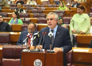 پنجاب سمیت کسی بھی صوبے کو سندھ کا پانی نہیں جانے دیں گے: اسحاق ڈار