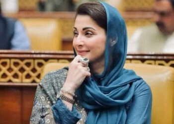 انسانیت کی بقا کیلئے ساکنان ارض کا ضمیر زندہ رہنا ضروری ہے: مریم نواز