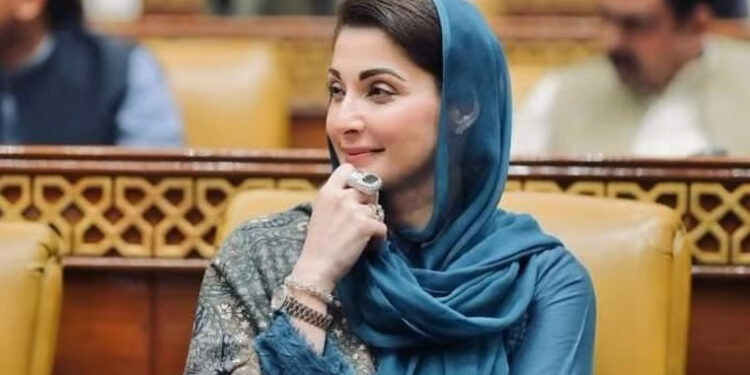 انسانیت کی بقا کیلئے ساکنان ارض کا ضمیر زندہ رہنا ضروری ہے: مریم نواز